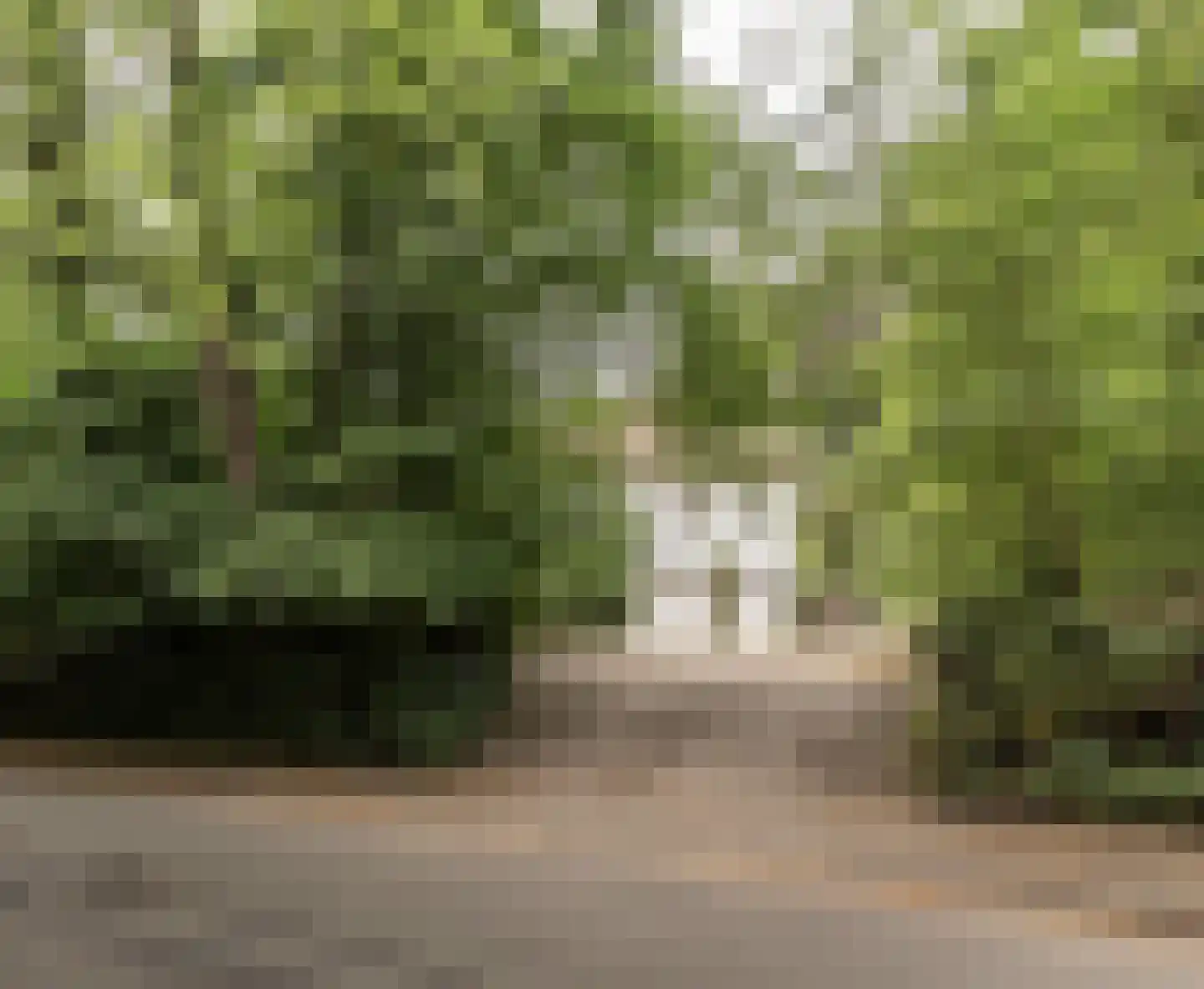 Midden Duin en Daalseweg 30 Bloemendaal thumbnail 53