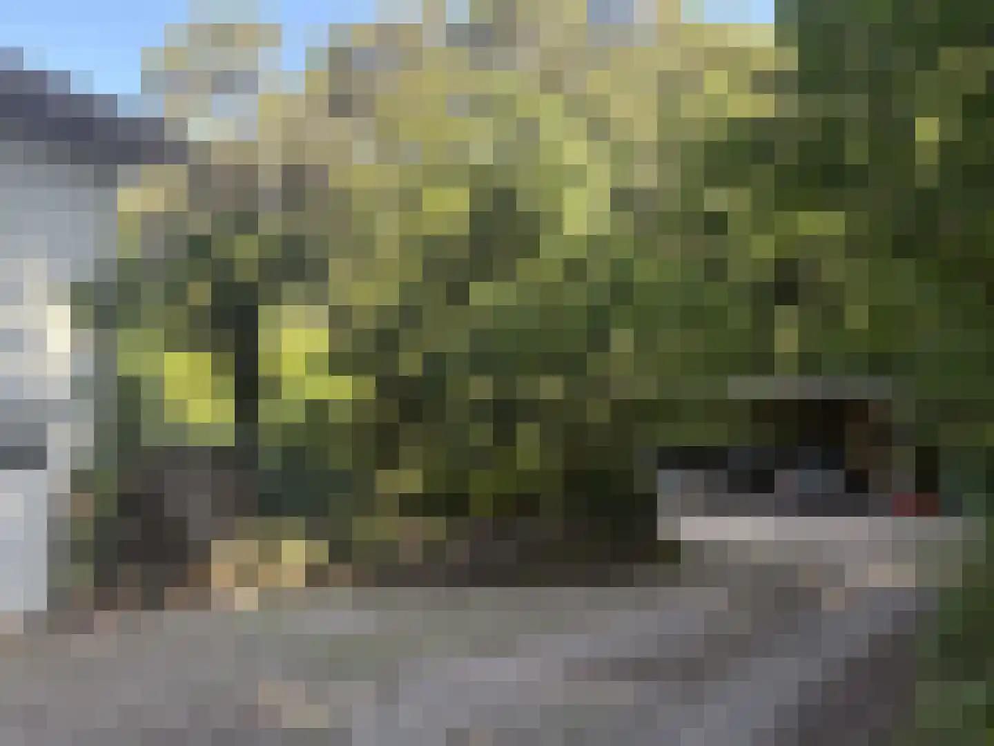 Midden Duin en Daalseweg 30 Bloemendaal thumbnail 6
