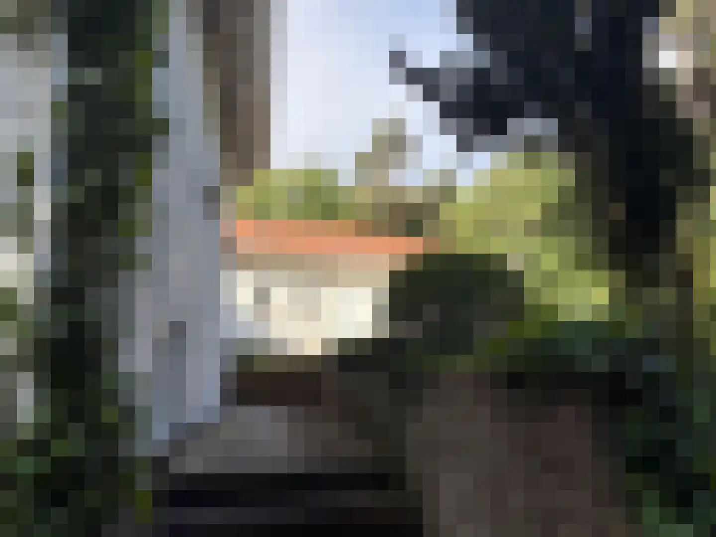 Midden Duin en Daalseweg 30 Bloemendaal thumbnail 7