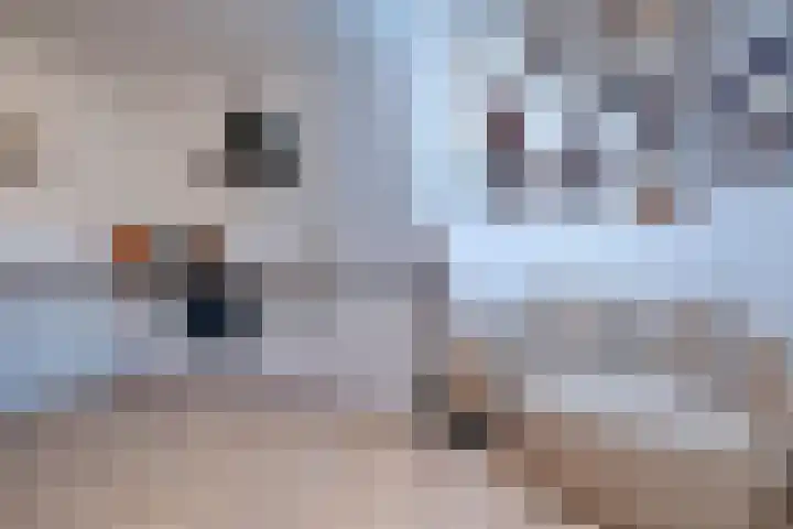 Midden-Eng 29 Bennekom thumbnail 8