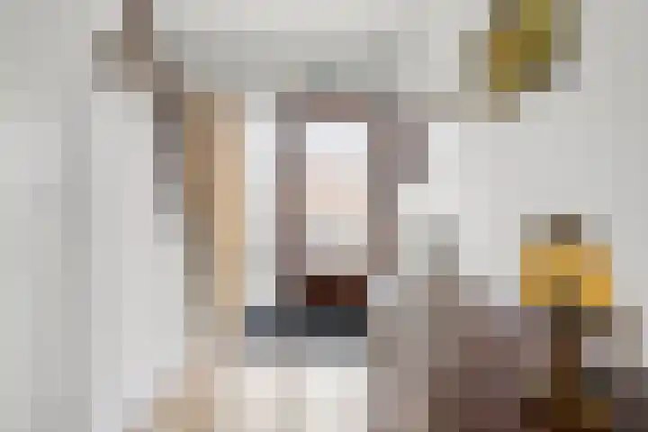 Midden-Eng 36 Bennekom thumbnail 10