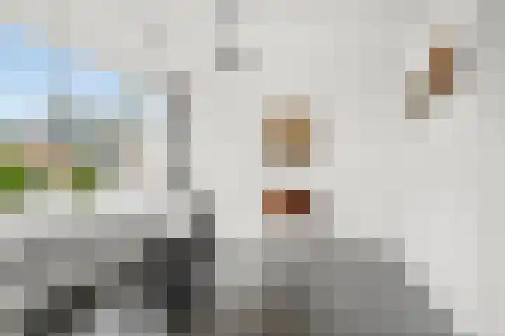 Midden-Eng 36 Bennekom thumbnail 24