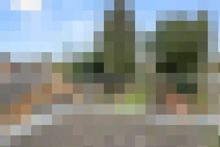 Midden-Eng 36 Bennekom thumbnail 26