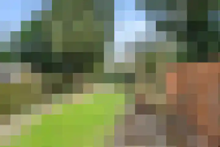 Midden-Eng 36 Bennekom thumbnail 7