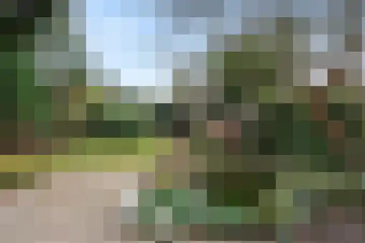 Midden-Eng 36 Bennekom thumbnail 8