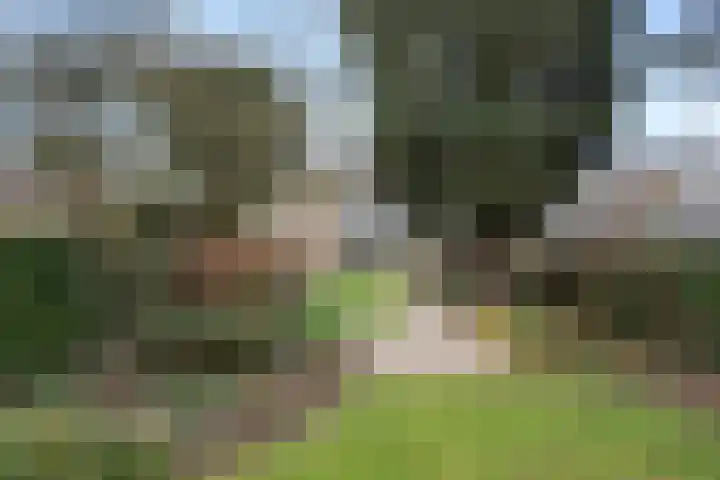 Midden-Eng 36 Bennekom thumbnail 9