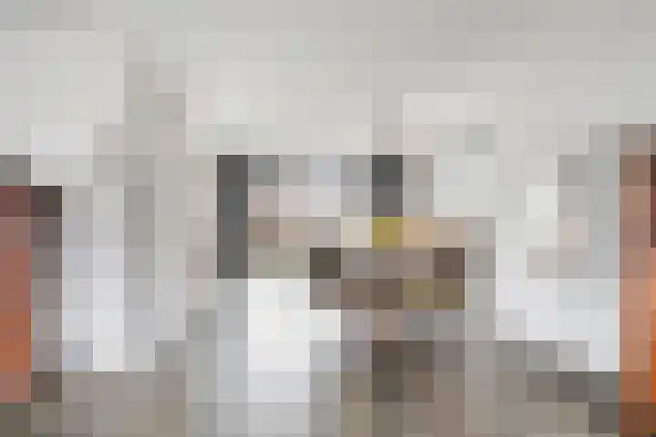 Midden Enkweg 11 Apeldoorn thumbnail 10