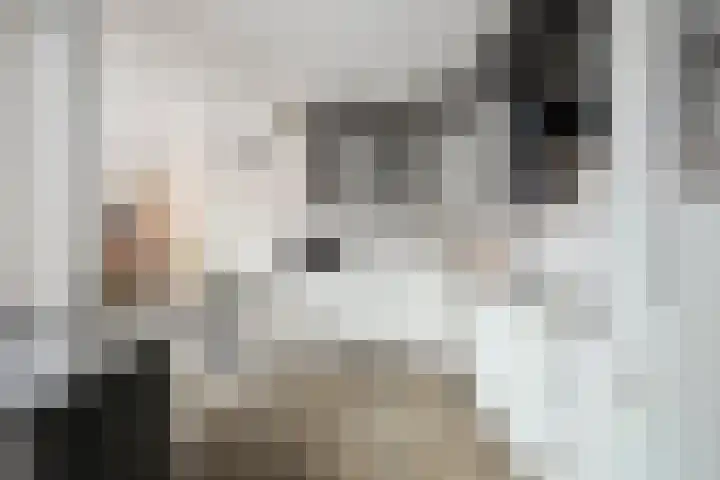 Midden Enkweg 11 Apeldoorn thumbnail 14