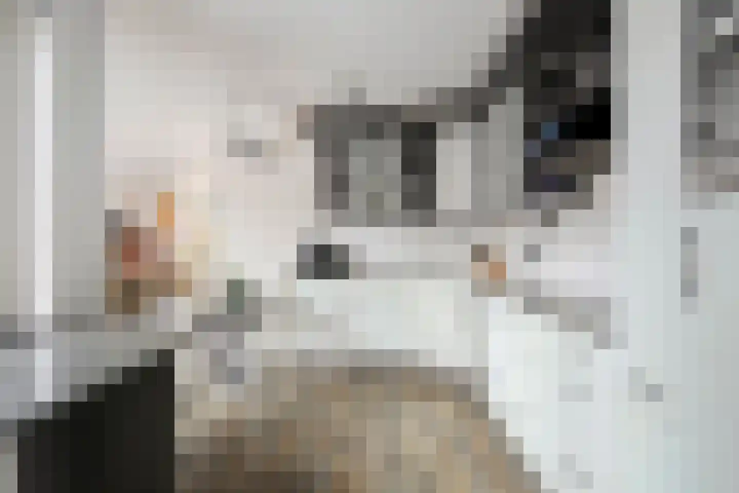 Midden Enkweg 11 Apeldoorn thumbnail 14