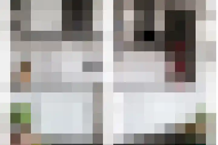 Midden Enkweg 11 Apeldoorn thumbnail 15