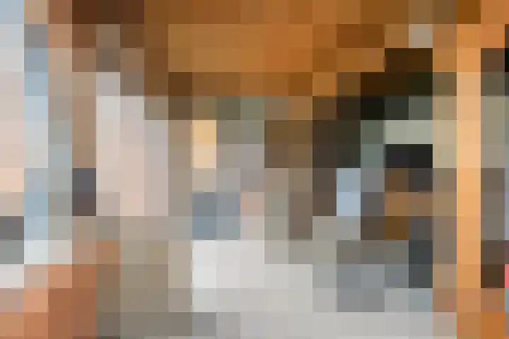 Midden Enkweg 11 Apeldoorn thumbnail 31