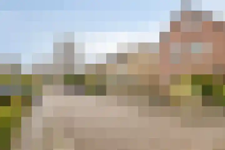 Midden Enkweg 11 Apeldoorn thumbnail 34