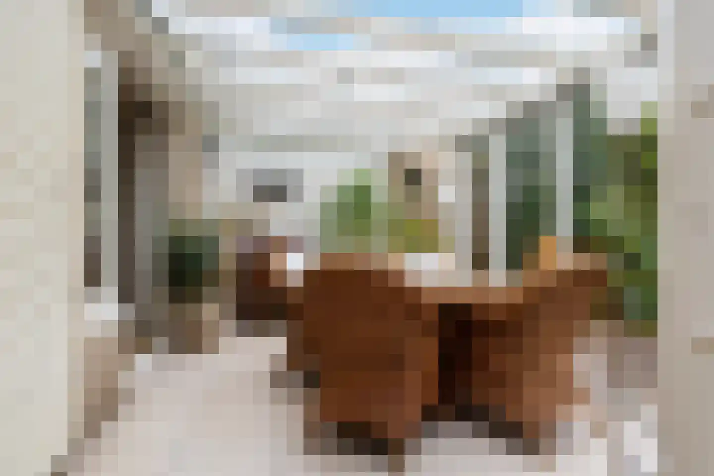 Midden Enkweg 14 Apeldoorn thumbnail 11