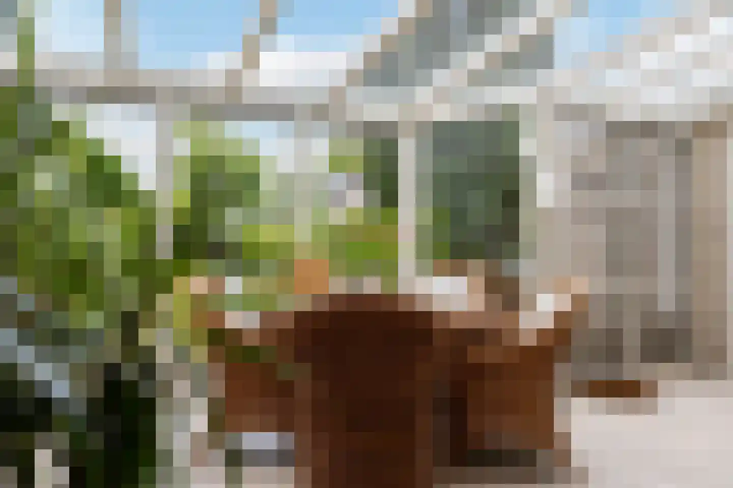 Midden Enkweg 14 Apeldoorn thumbnail 12
