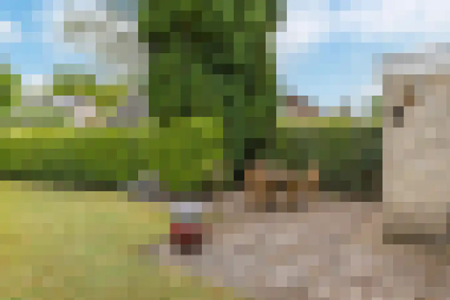 Midden Enkweg 14 Apeldoorn thumbnail 13