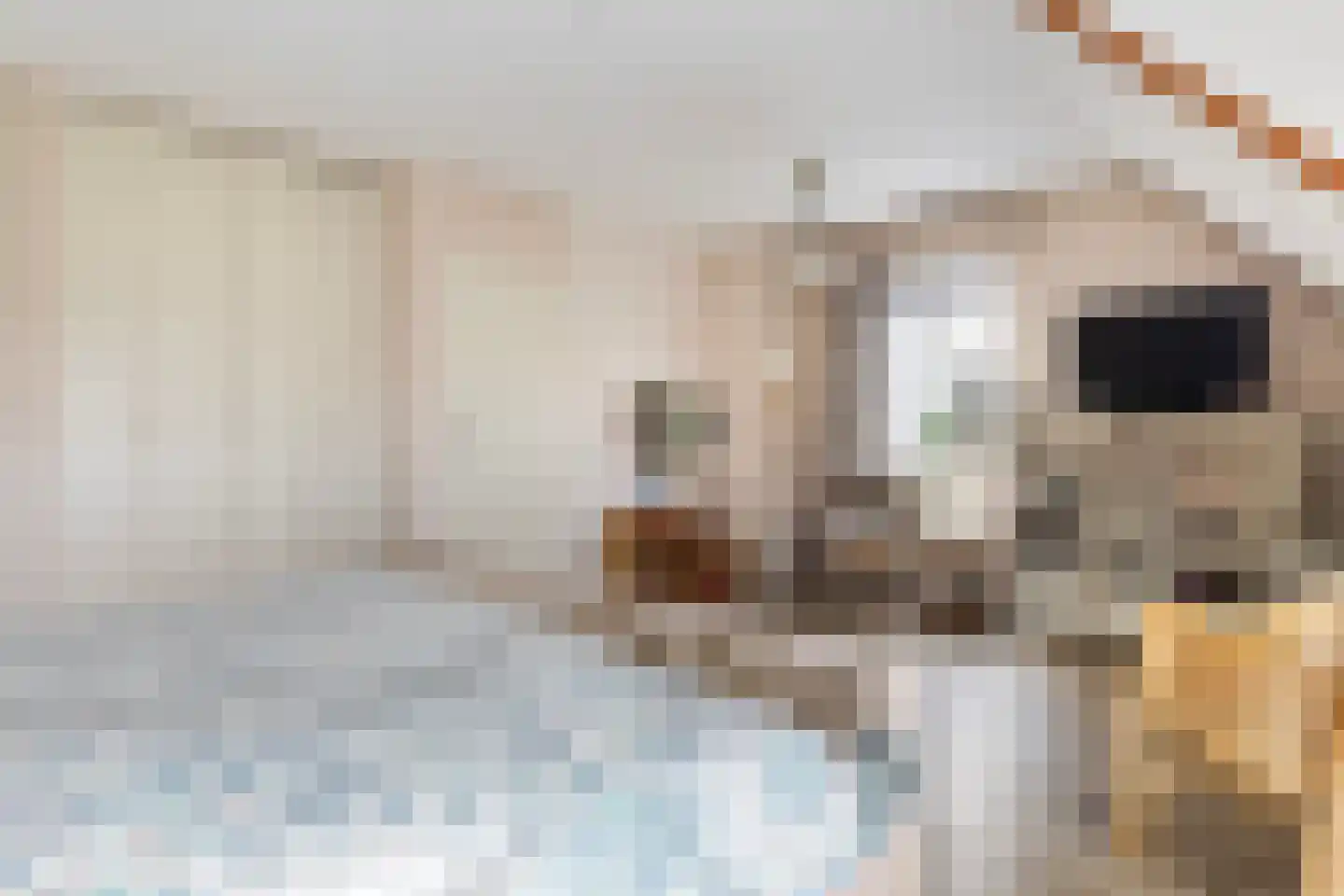 Midden Enkweg 14 Apeldoorn thumbnail 20