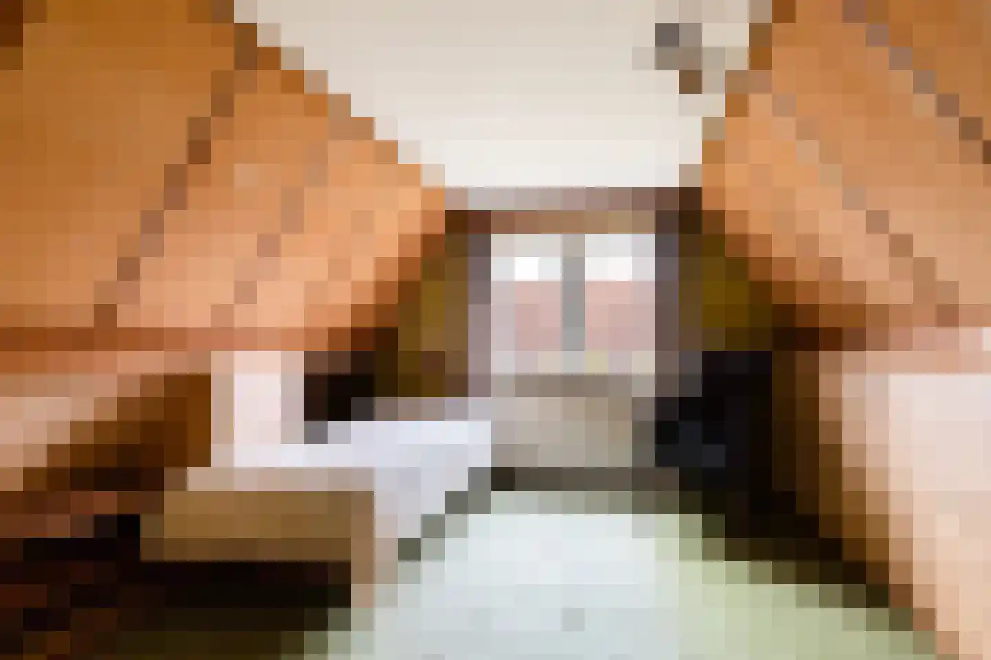 Midden Enkweg 26 Apeldoorn thumbnail 29