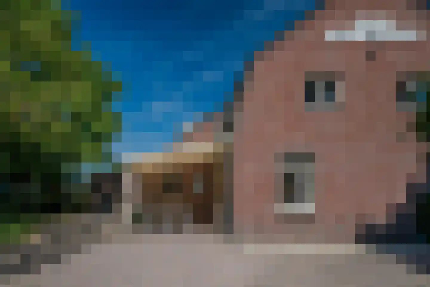 Midden Peelweg 26 America thumbnail 38