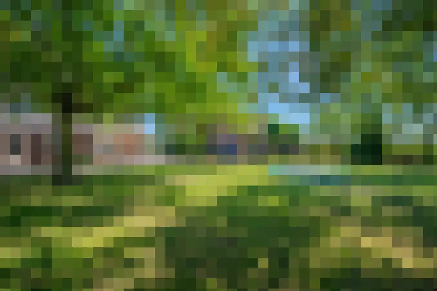 Midden Peelweg 26 America thumbnail 46