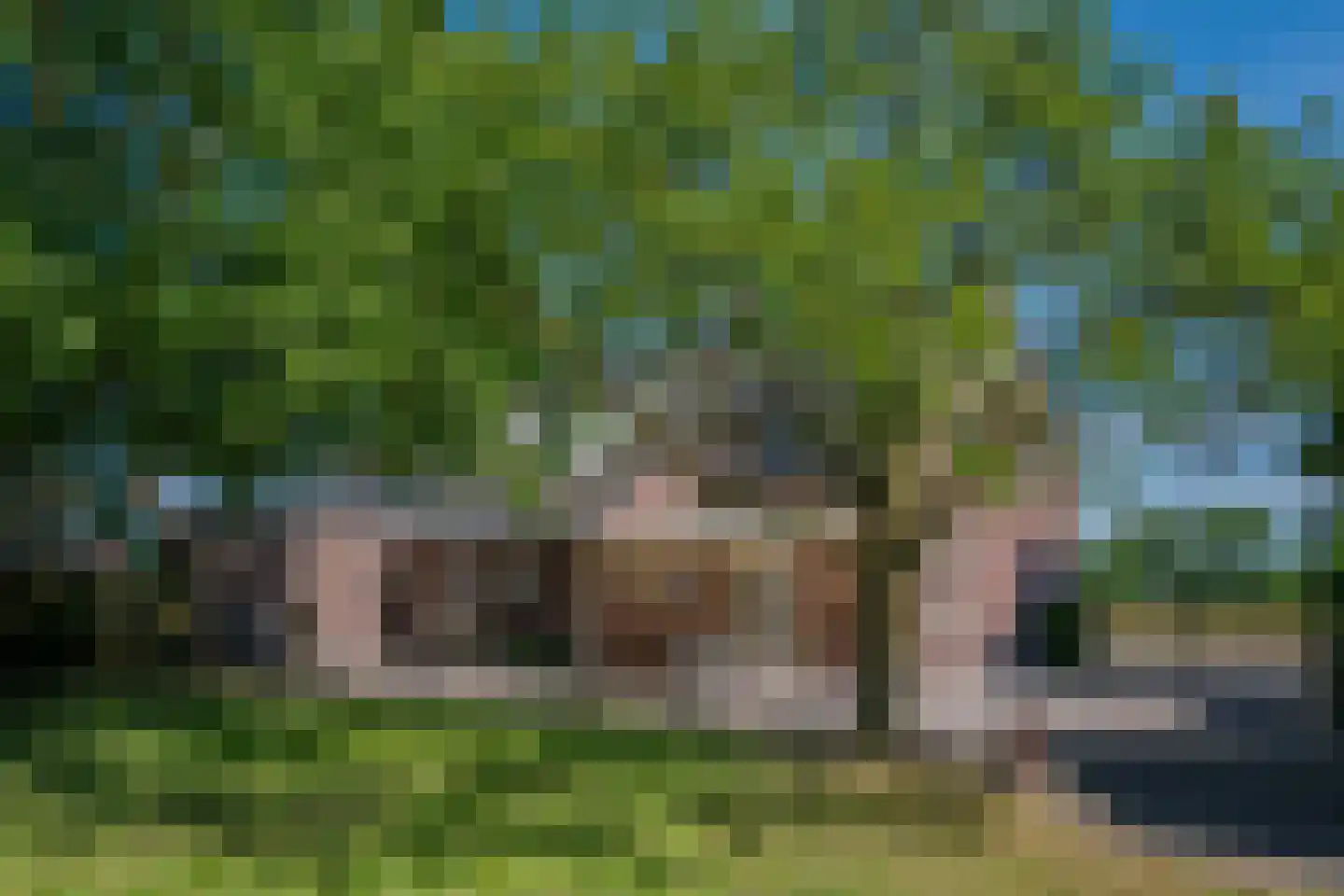 Midden Peelweg 26 America thumbnail 49