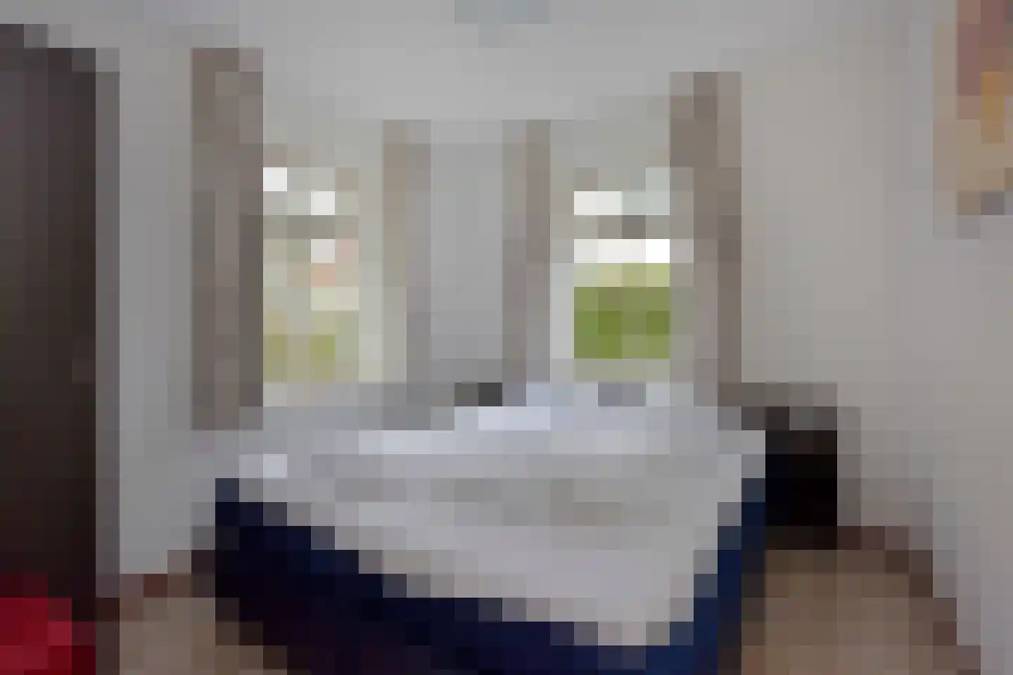 Midden Peelweg 5 T 104 Sevenum thumbnail 12