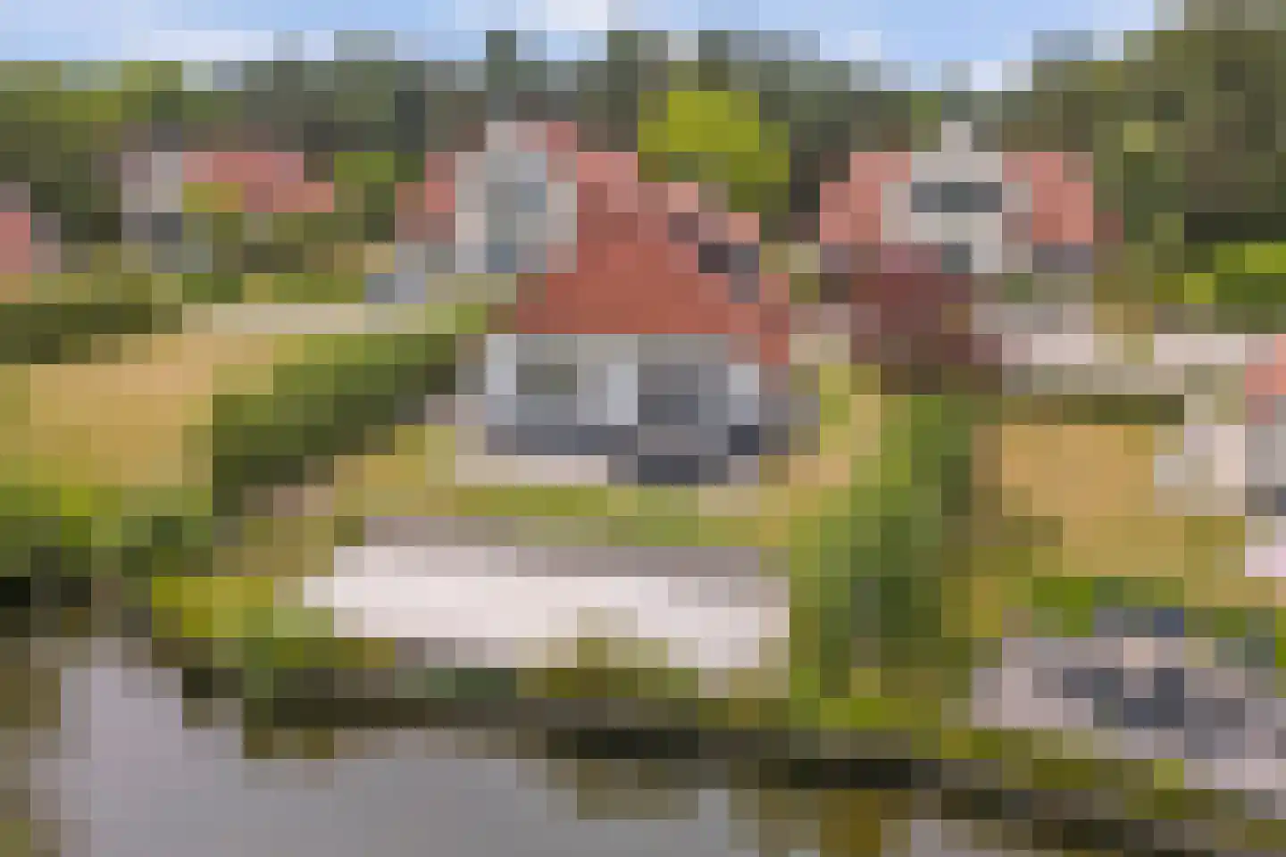 Midden Peelweg 5 T 117 Sevenum thumbnail 30