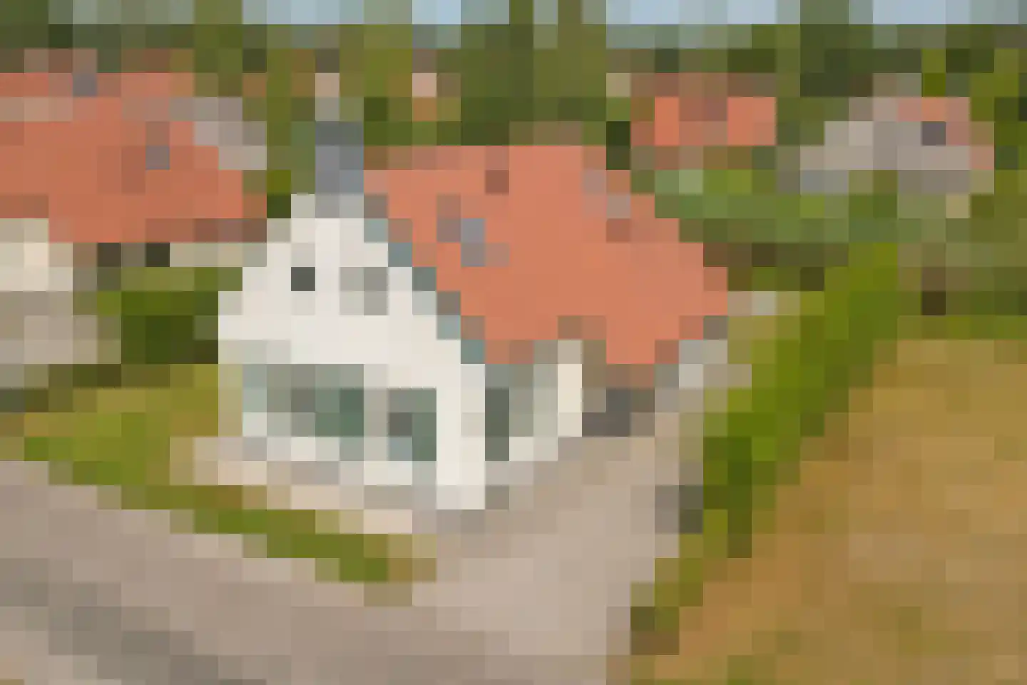 Midden Peelweg 5 T 117 Sevenum thumbnail 31