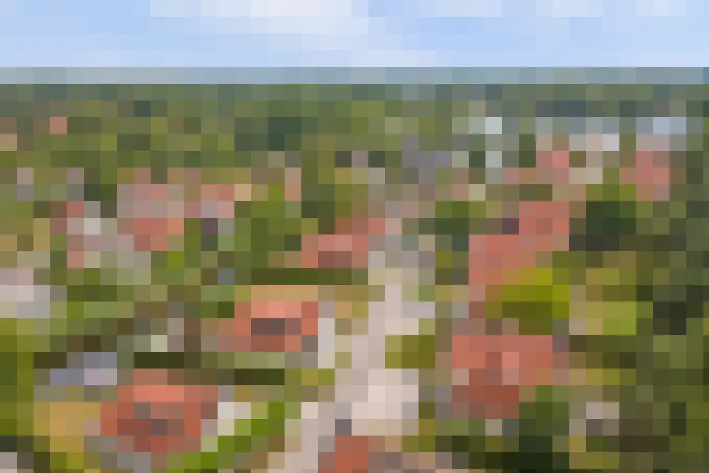Midden Peelweg 5 T 117 Sevenum thumbnail 36