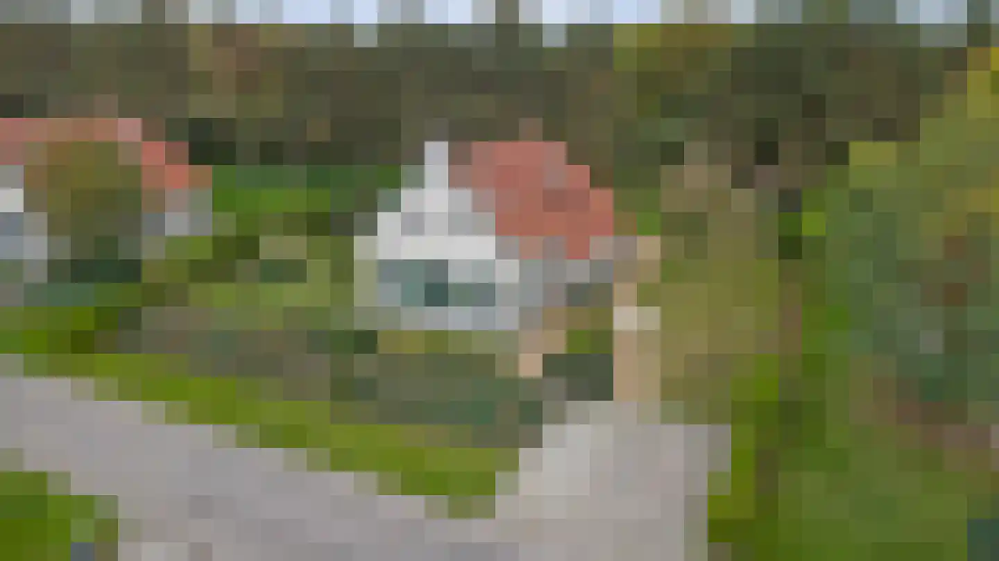 Midden Peelweg 5 T 126 Sevenum thumbnail 34