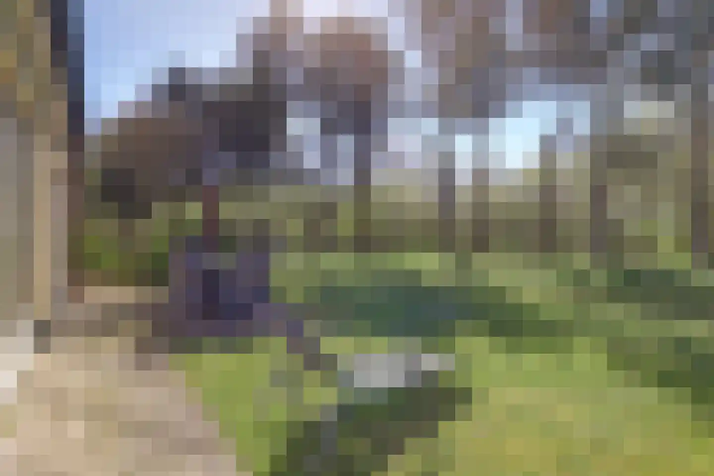 Midden Peelweg 5 T 130 Sevenum thumbnail 34