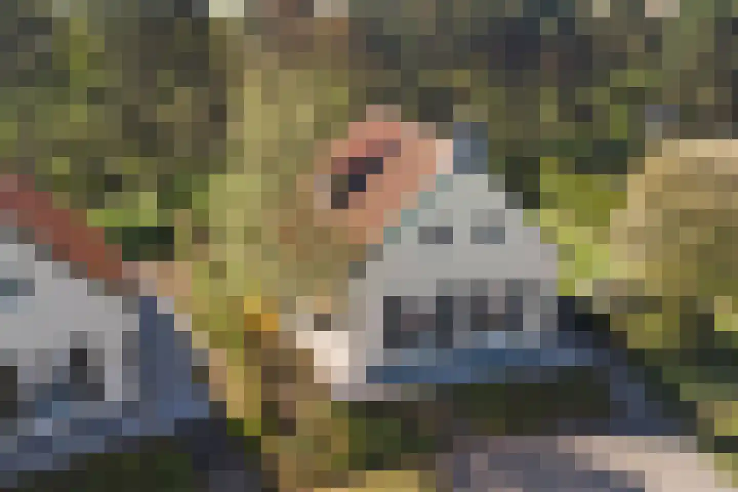 Midden Peelweg 5 T 130 Sevenum thumbnail 41