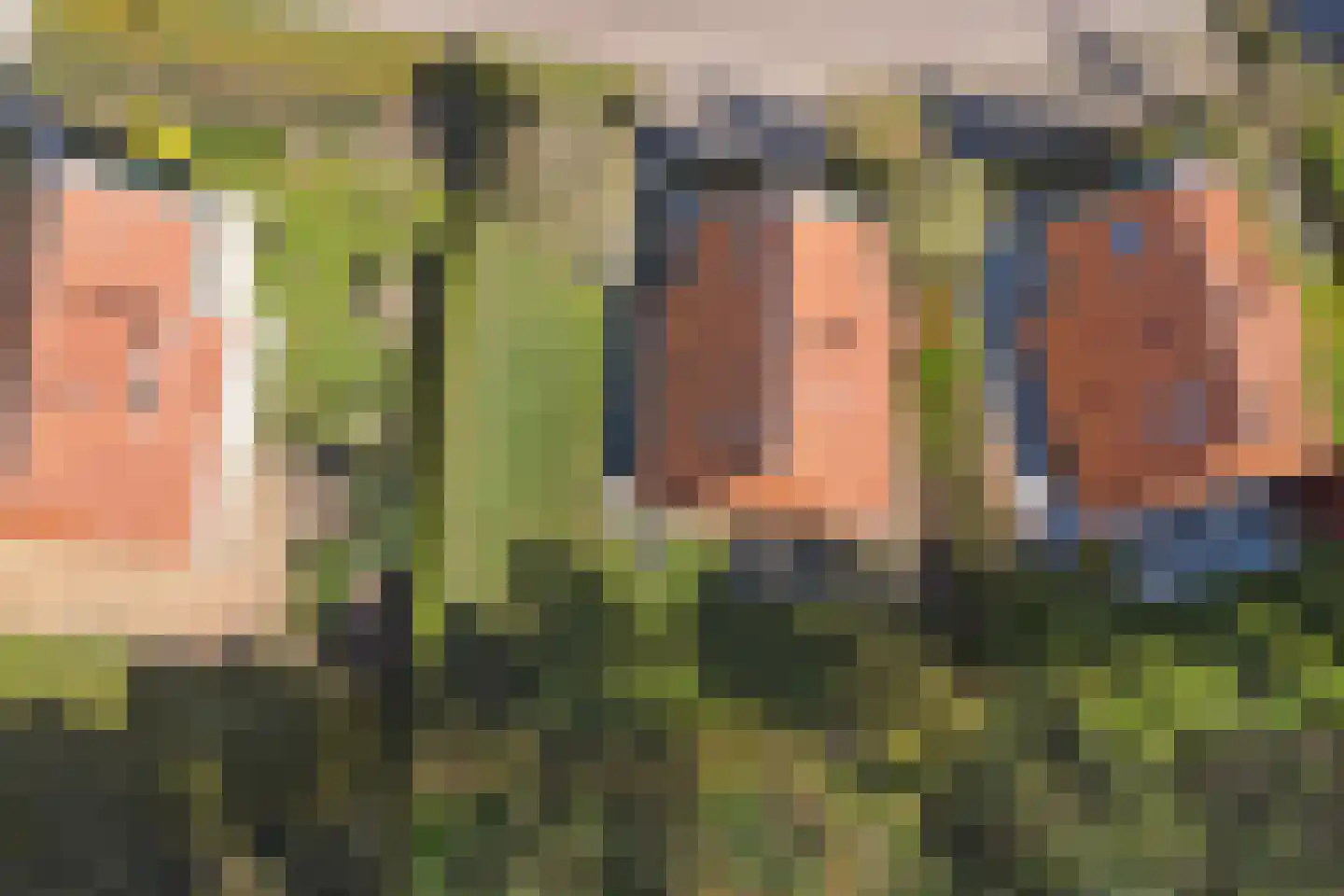 Midden Peelweg 5 T 130 Sevenum thumbnail 44