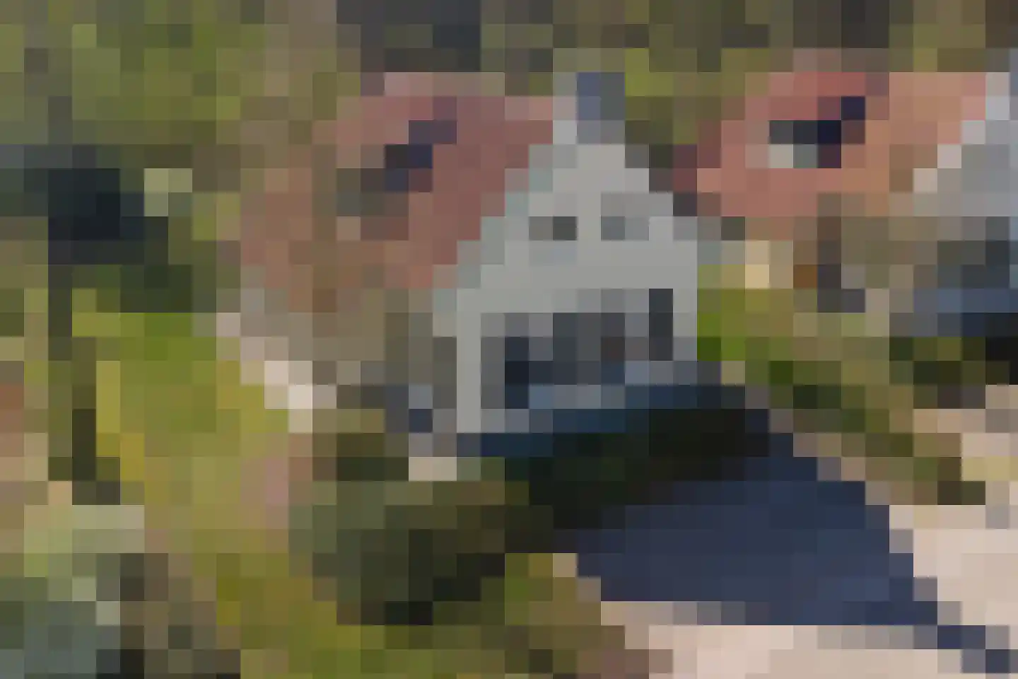 Midden Peelweg 5 T 134 Sevenum thumbnail 41