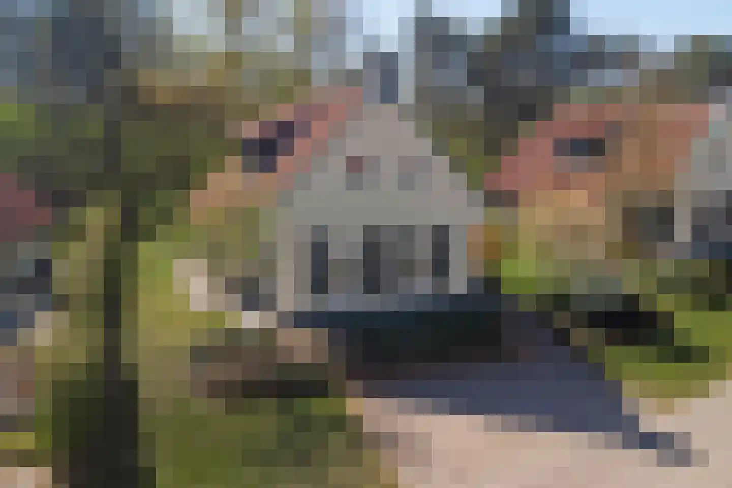 Midden Peelweg 5 T 136 Sevenum thumbnail 39