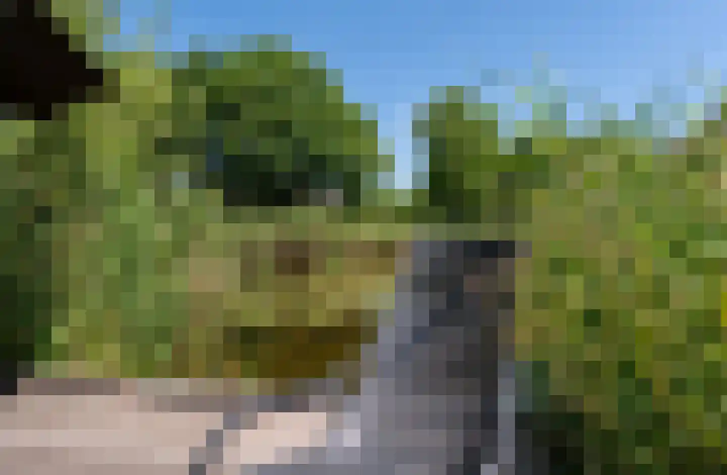 Midden Peelweg 5 T 212 Sevenum thumbnail 27
