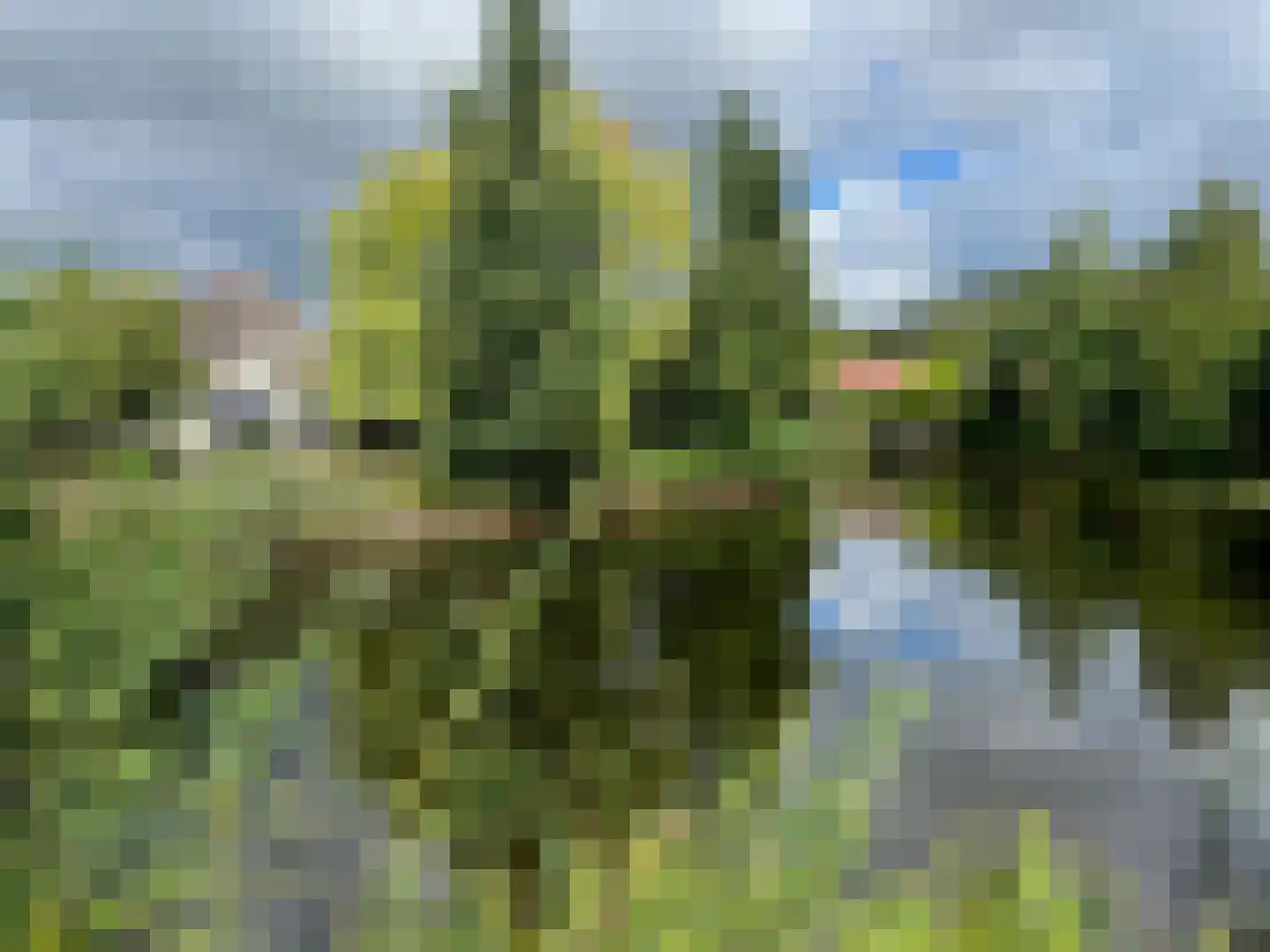 Midden Peelweg 5 T 222 Sevenum thumbnail 5