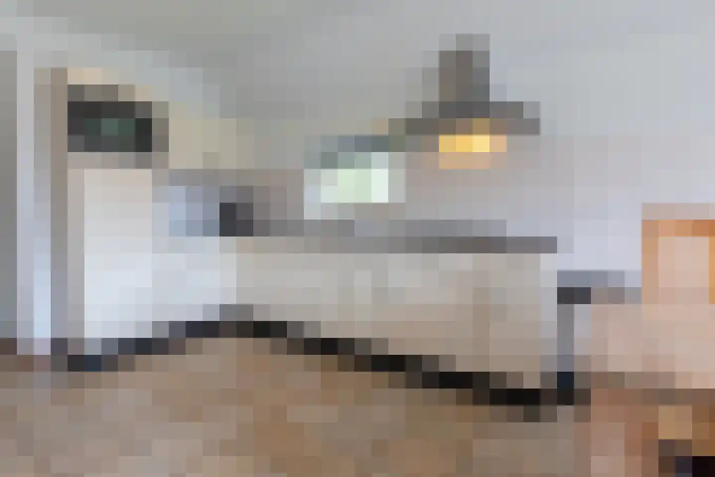 Midden Peelweg 5 T 233 Sevenum thumbnail 8