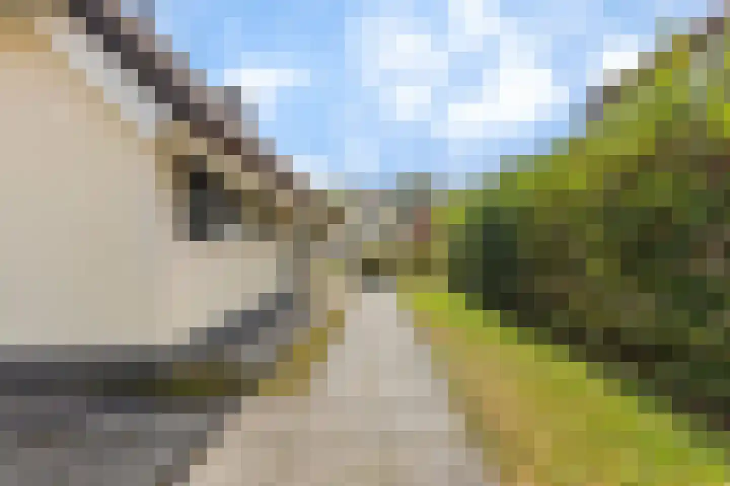 Midden Peelweg 5 T 37 Sevenum thumbnail 17