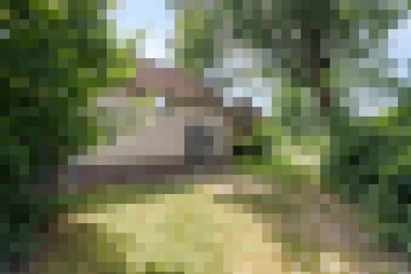 Midden Peelweg 5 T 71 Sevenum thumbnail 26
