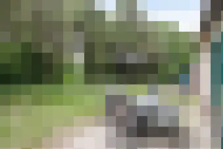 Midden Peelweg 5 T 87 Sevenum thumbnail 24