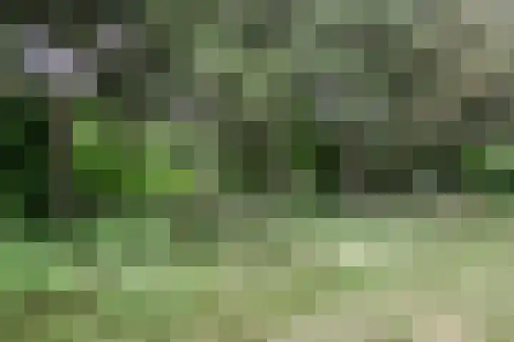 Midden Peelweg 5 T 87 Sevenum thumbnail 25