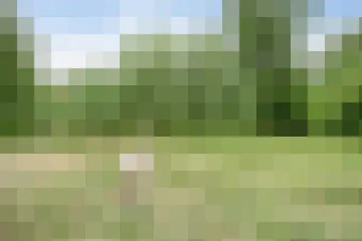 Midden Peelweg 5 T 87 Sevenum thumbnail 26