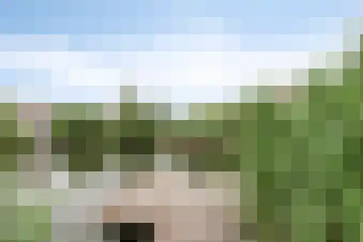 Midden Peelweg 5 T 87 Sevenum thumbnail 27