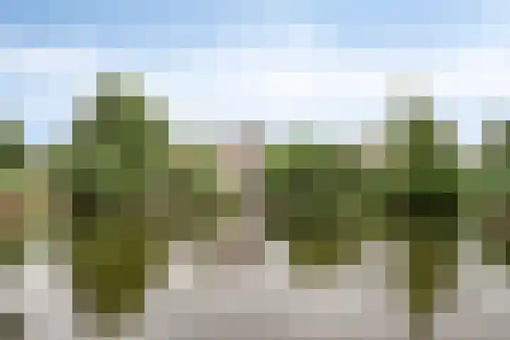 Midden Peelweg 5 T 87 Sevenum thumbnail 28