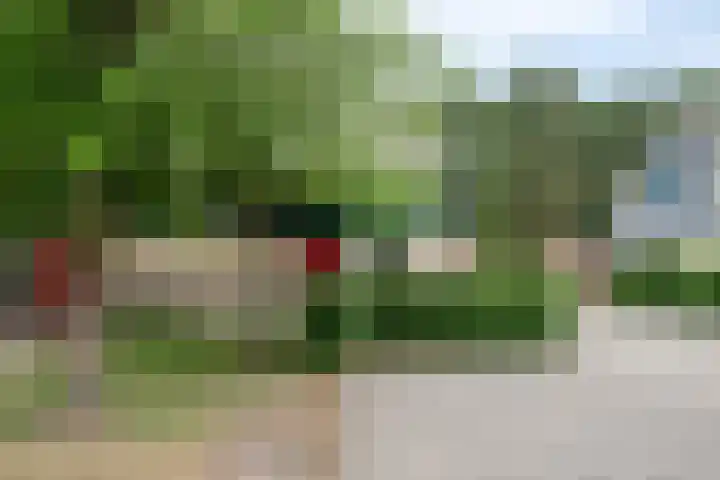 Midden Peelweg 5 T 87 Sevenum thumbnail 5
