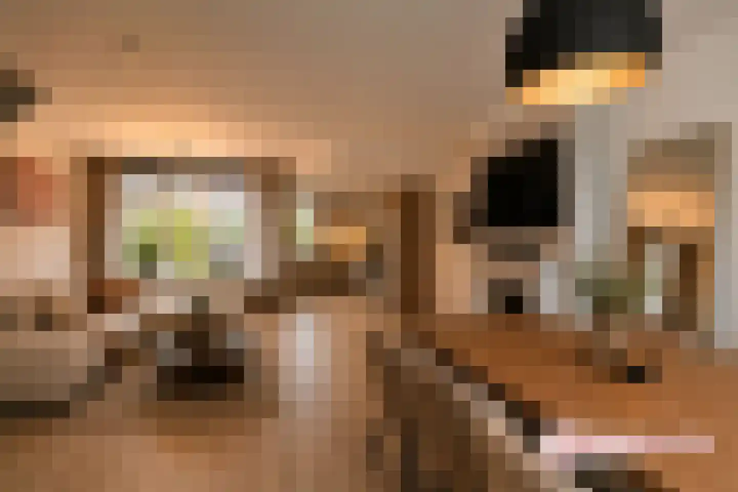 Midden Woerd 25 Naaldwijk thumbnail 5
