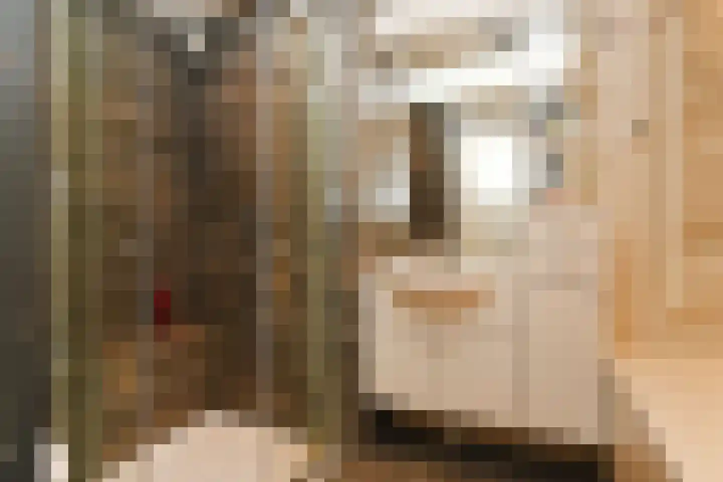 Midden Woerd 25 Naaldwijk thumbnail 20
