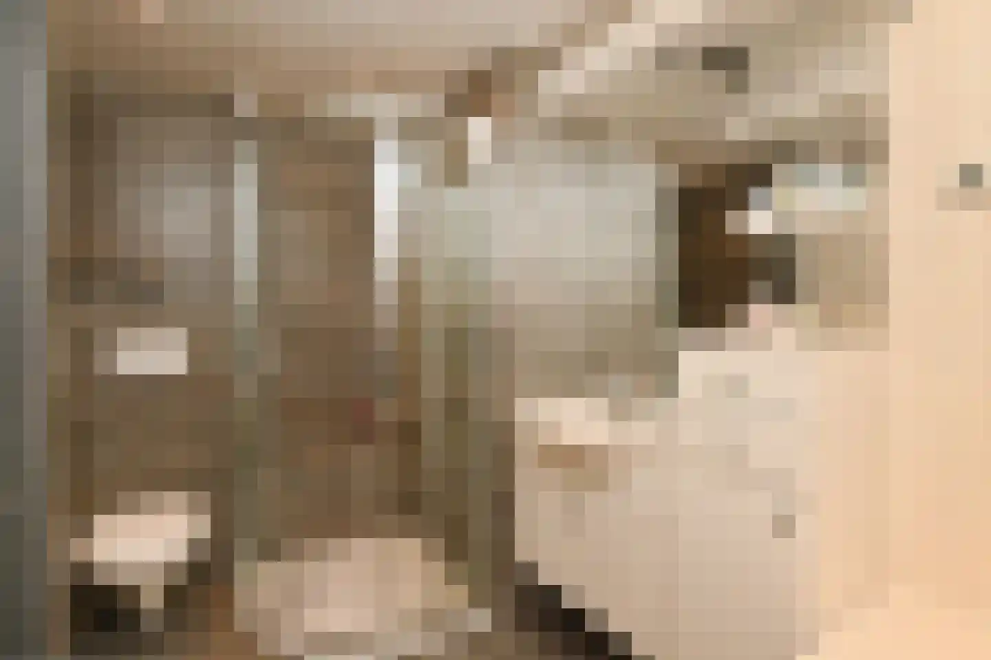 Midden Woerd 25 Naaldwijk thumbnail 22
