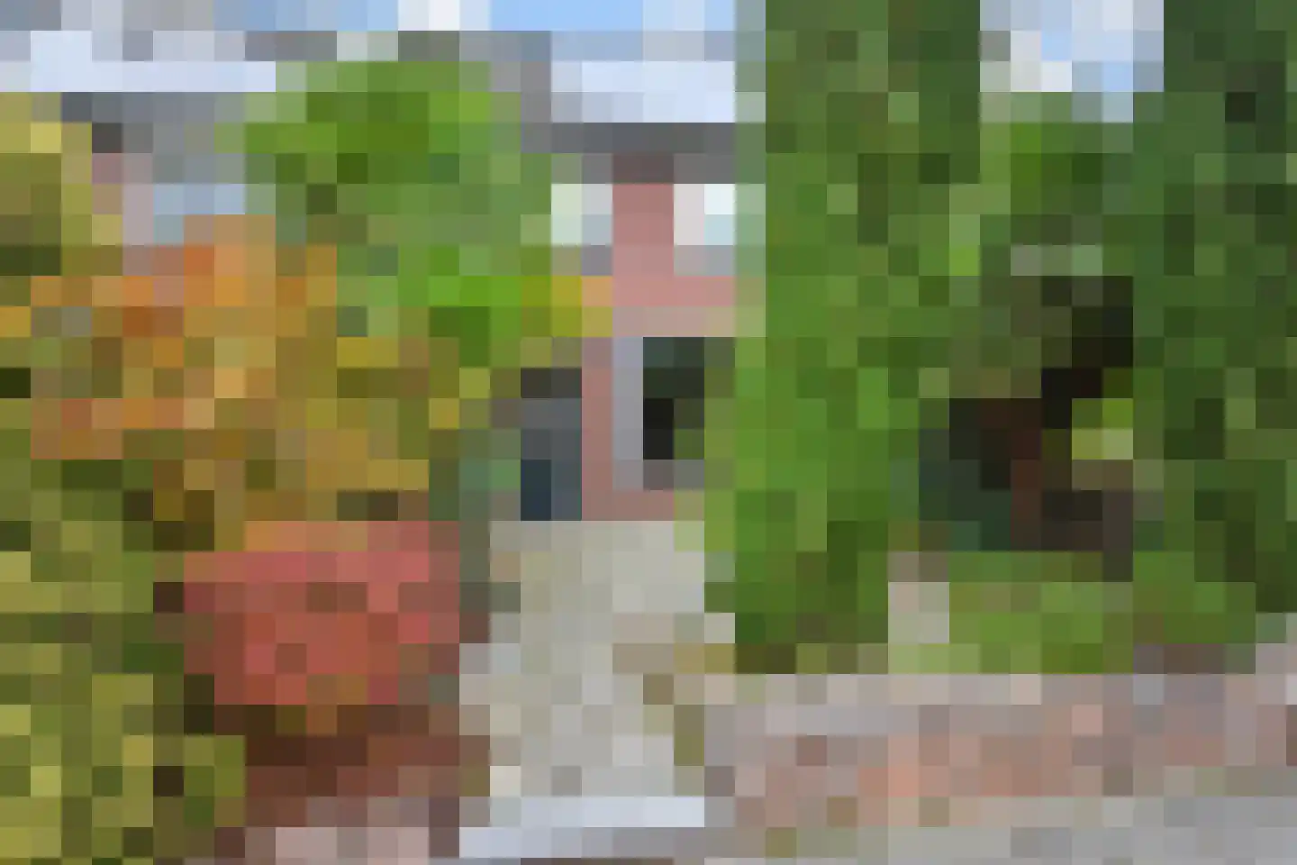 Midden Woerd 25 Naaldwijk thumbnail 6