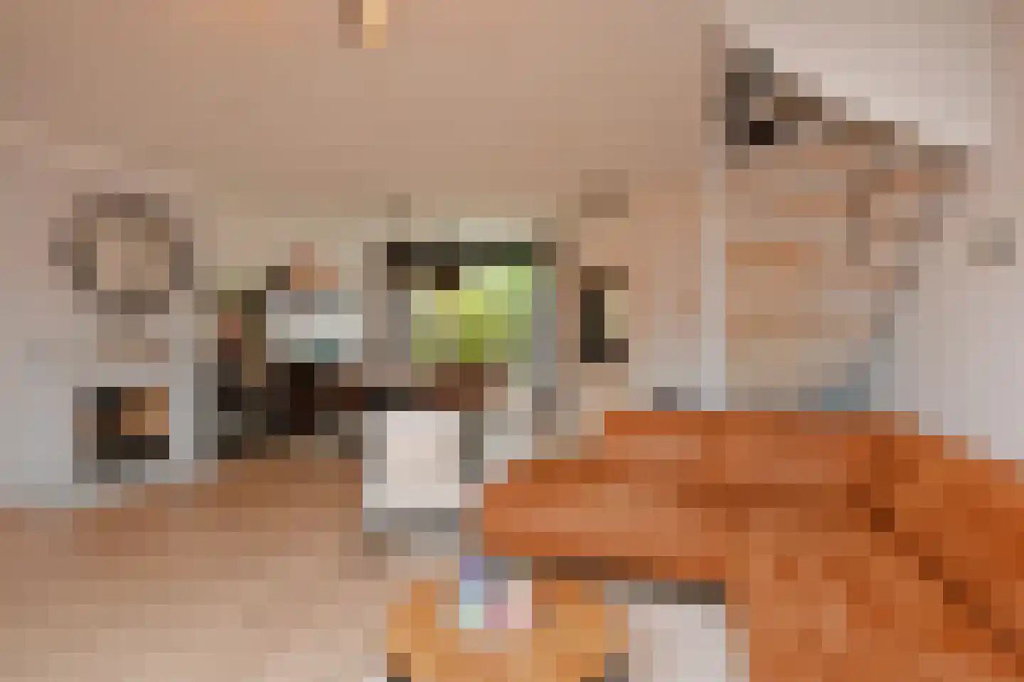 Midden Woerd 25 Naaldwijk thumbnail 9